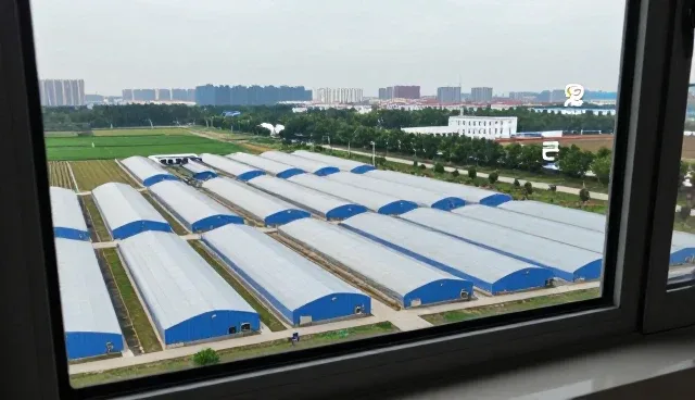 短视频拍摄中流程管理的选型关键点分析