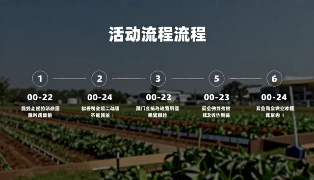 活动策划执行:流程优化与使用建议